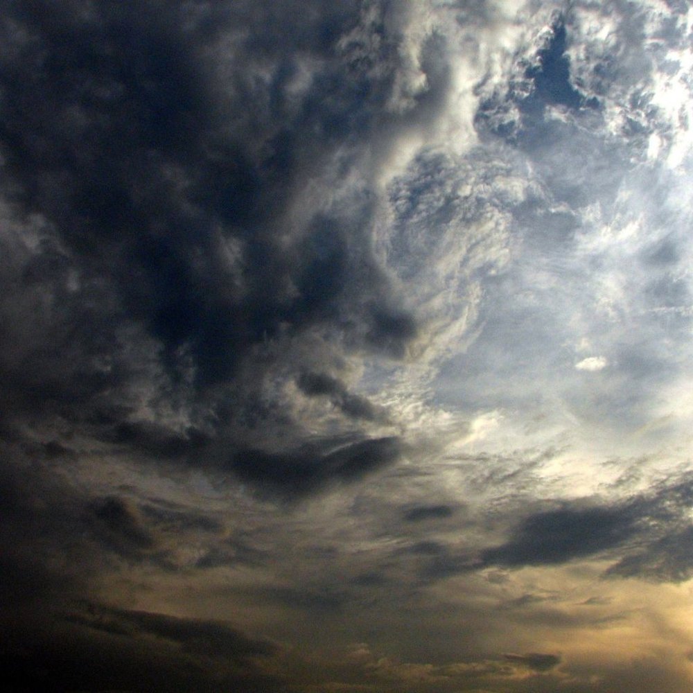 Meet your Posher, Elena